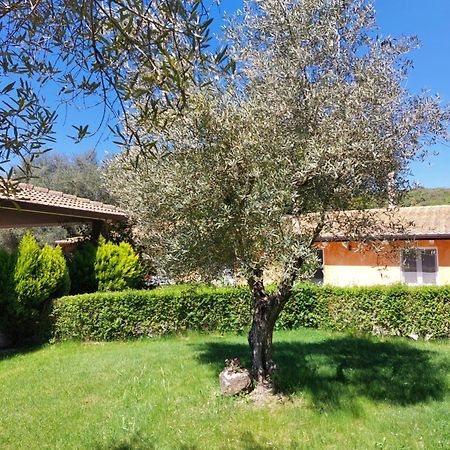 Casa Vacanza Centro Sardegna Sorgono Екстер'єр фото