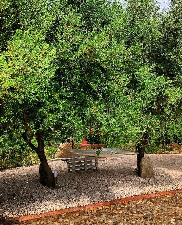 Casa Vacanza Centro Sardegna Sorgono Екстер'єр фото