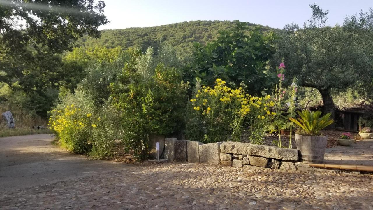 Casa Vacanza Centro Sardegna Sorgono Екстер'єр фото