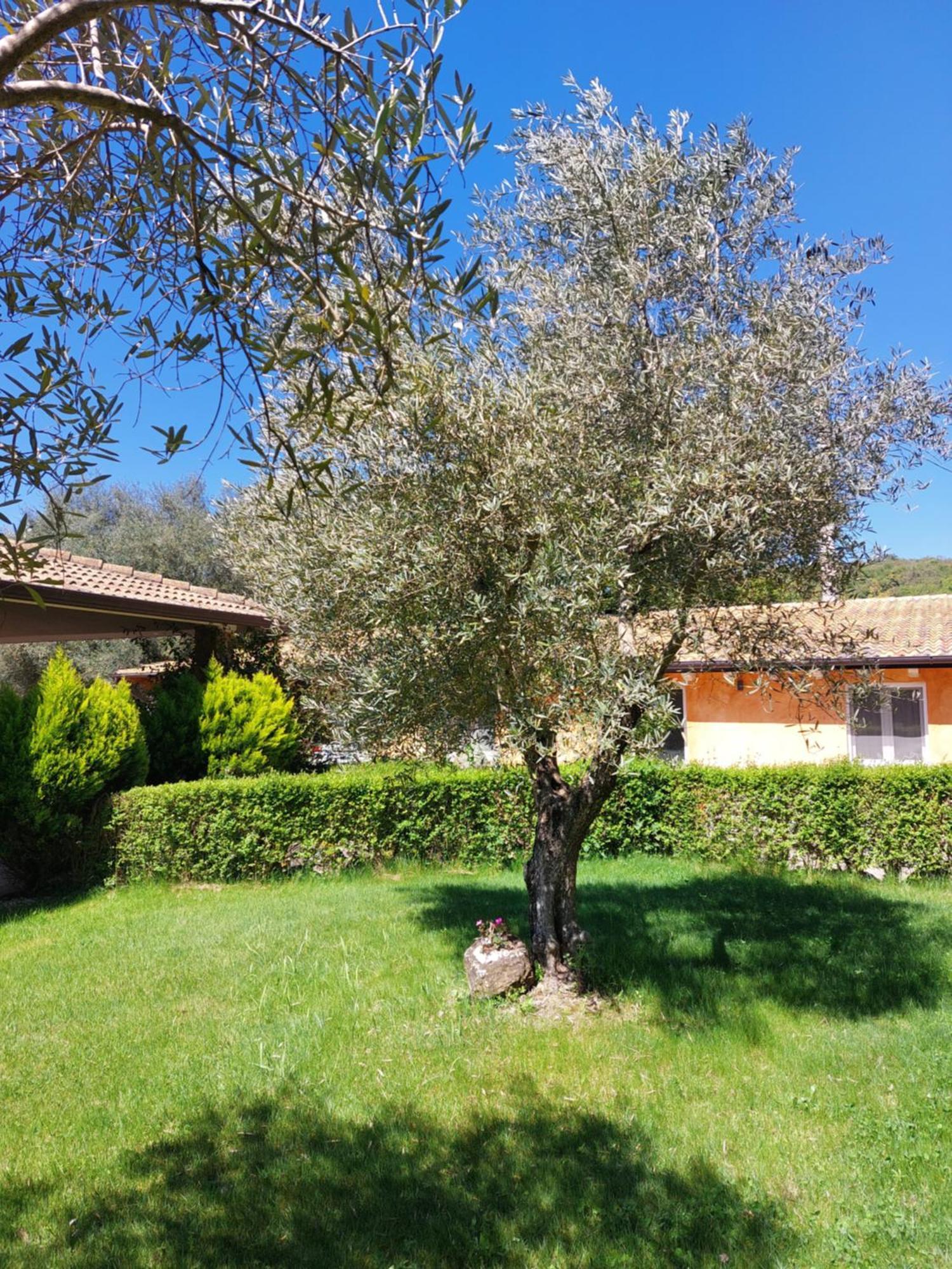 Casa Vacanza Centro Sardegna Sorgono Екстер'єр фото