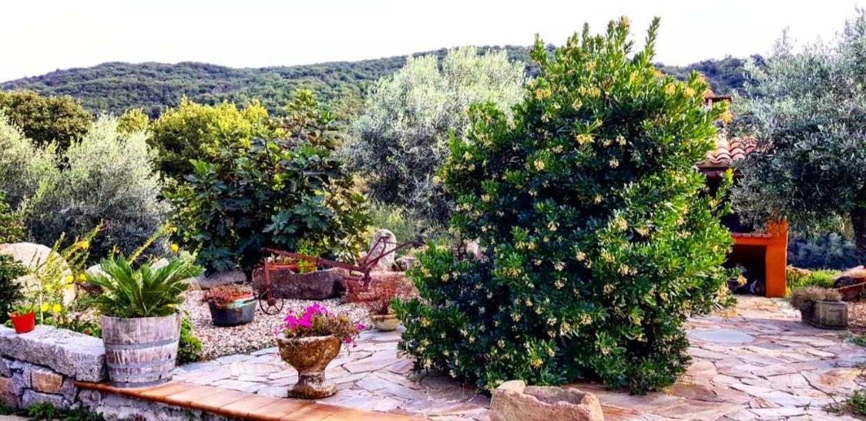 Casa Vacanza Centro Sardegna Sorgono Екстер'єр фото